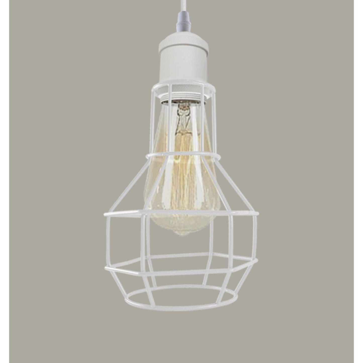 Modern Loft Vintage Industrial Retro Wire Cage Shade Pendant Light~3401-20